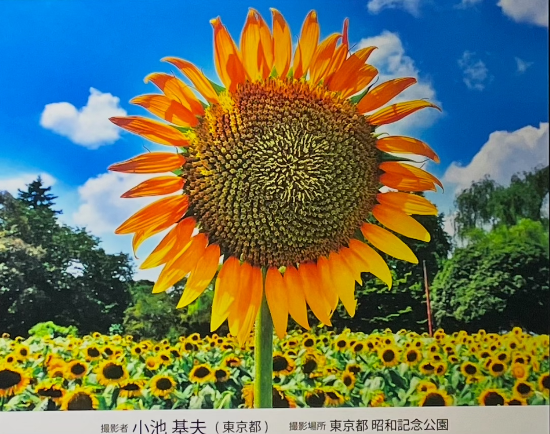 ものみな移り変わる