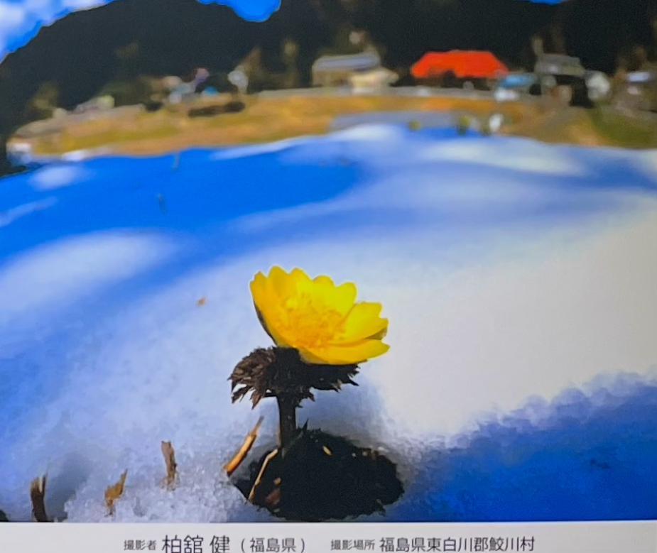 一花開けて四方の春