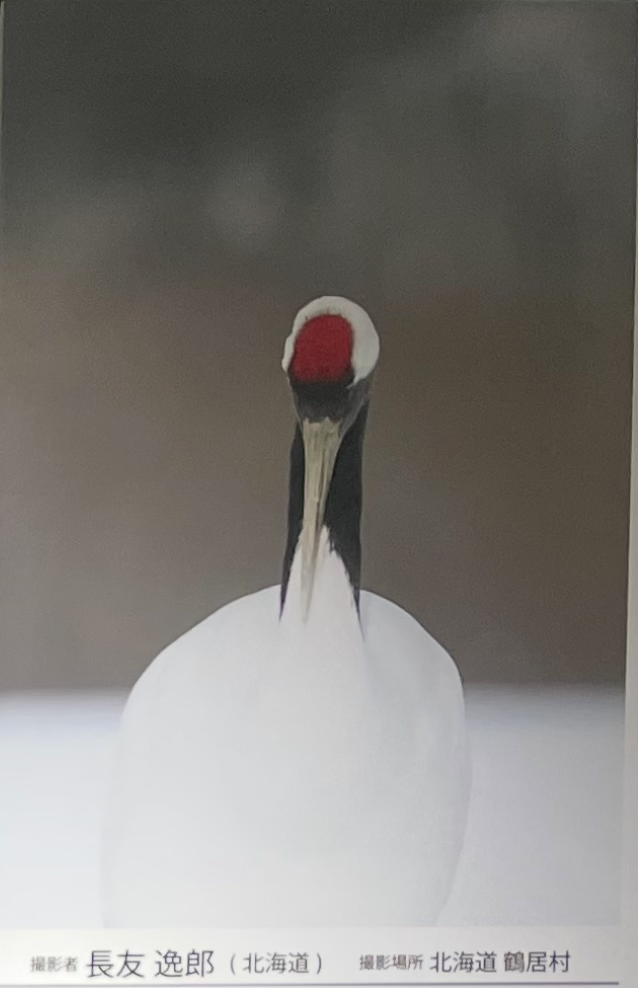 禅定 思いを静める